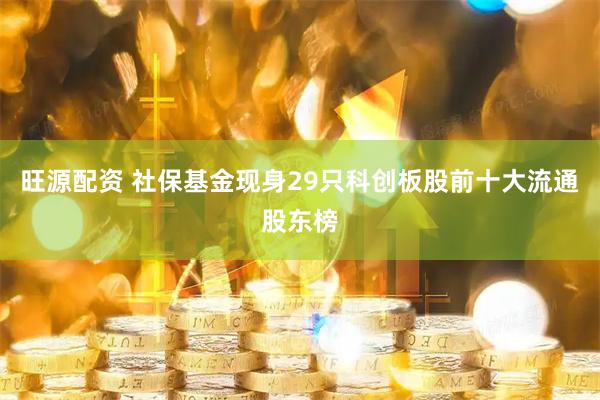 旺源配资 社保基金现身29只科创板股前十大流通股东榜