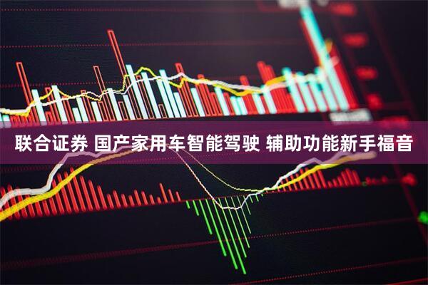 联合证券 国产家用车智能驾驶 辅助功能新手福音