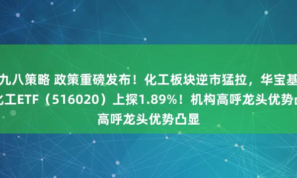 九八策略 政策重磅发布！化工板块逆市猛拉，华宝基金化工ETF（516020）上探1.89%！机构高呼龙头优势凸显