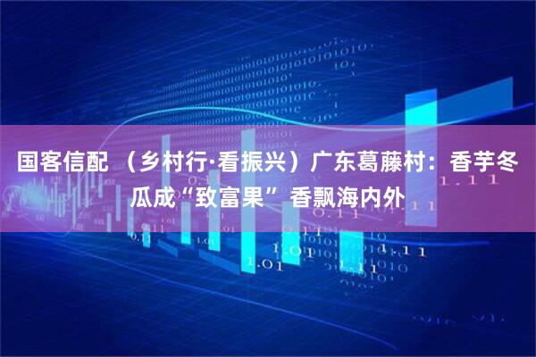 国客信配 (乡村行·看振兴)广东葛藤村:香芋冬瓜成“致富果” 香飘海内外